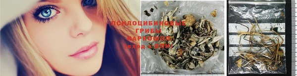 гидра Горно-Алтайск