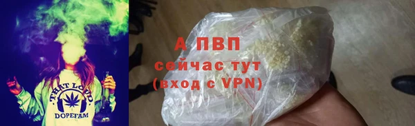 гидра Горно-Алтайск