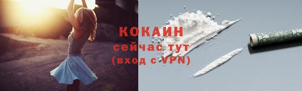 гидропоника Гусев