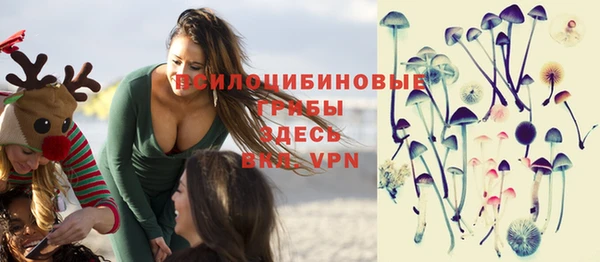 гидра Горно-Алтайск
